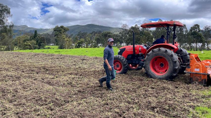 ¡Histórico! El desempleo en Colombia baja al 7 % en noviembre: la cifra más baja jamás registrada